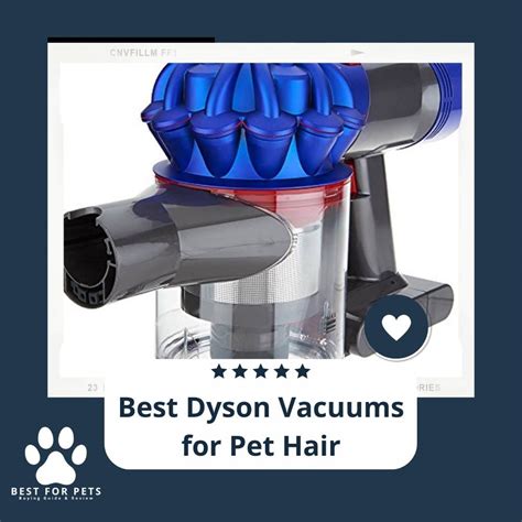 9 Best Vacuums for Pet Hair .
